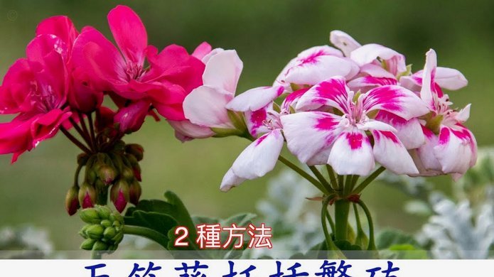 企业如何有效应对风控挑战