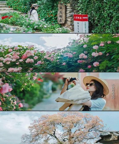 拿去花风控了怎么解决