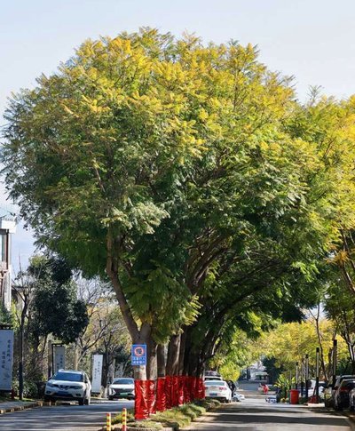 拿去花风控了怎么解决