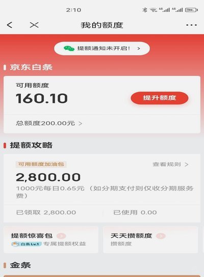 如何提高白条额度