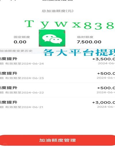 白条怎么套出来额度