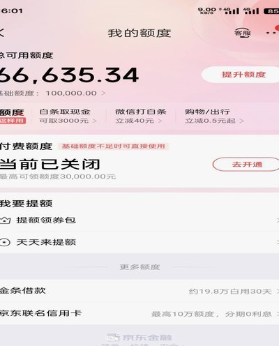 白条怎么套出来额度