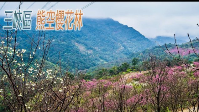 花呗注册地：合规与风险布局