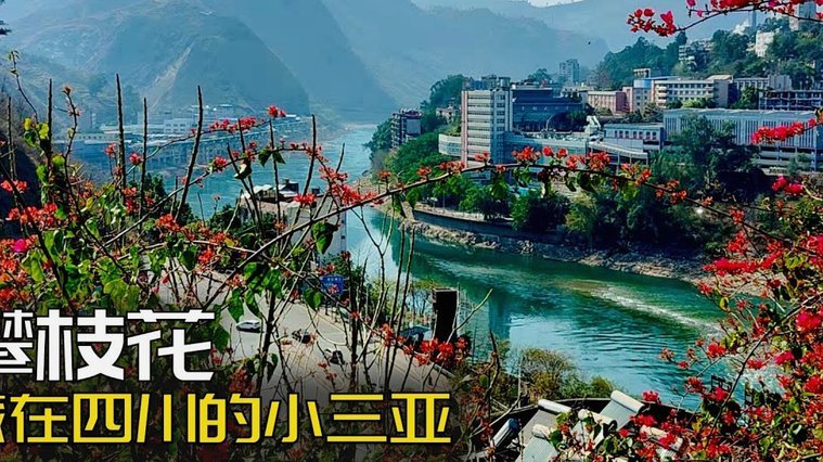 花呗平台注册地