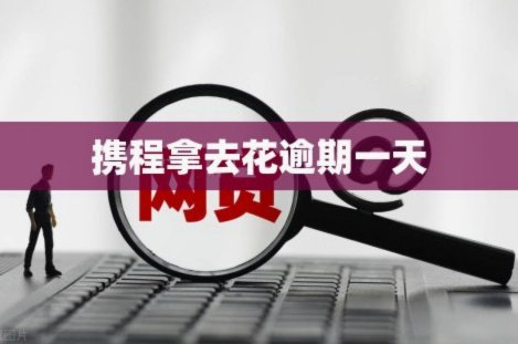 携程网的拿去花在哪儿看