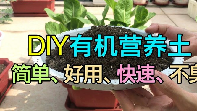 拿花借贷，轻松套现指南
