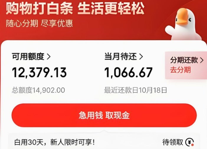 信用赊购新玩法：白条现金的利与弊