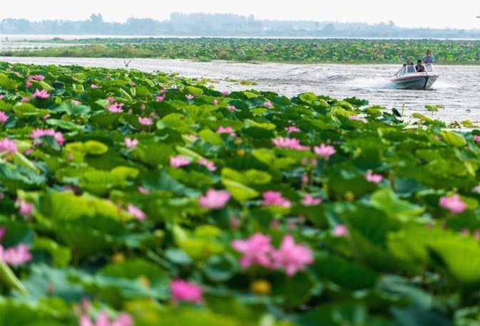 海鸥花呗平台是真的吗
