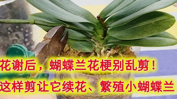 套花呗导致无法使用花呗付款