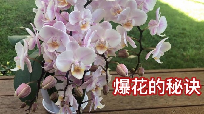 花呗提现攻略与安全指南