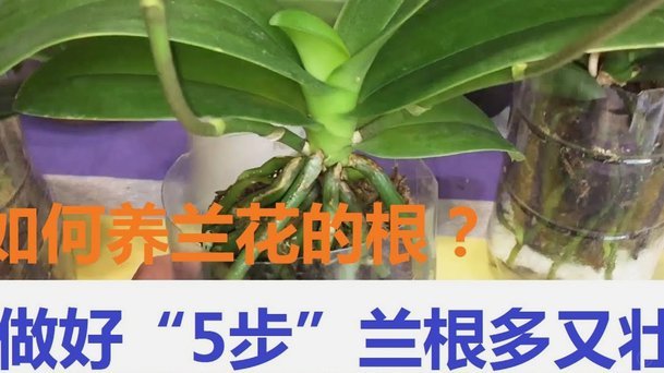 携程拿去花 现金怎么用 出来的