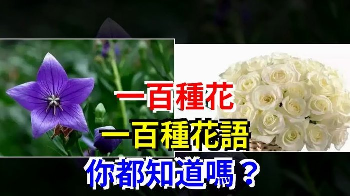 携程拿去花 现金怎么用 出来的