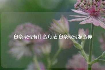 白条提现全攻略：步骤、条件与避坑指南