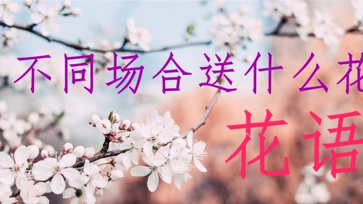 花呗秒套平台真伪揭秘：投诉方法