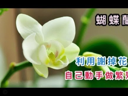 携程拿去花套现手续费多少