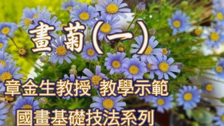 秒花花骗局：信任陷阱与认知操控