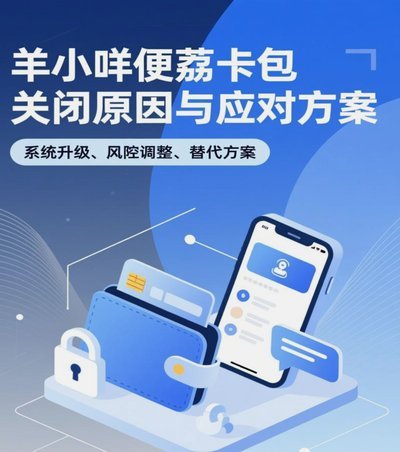 便荔卡包额度管理策略