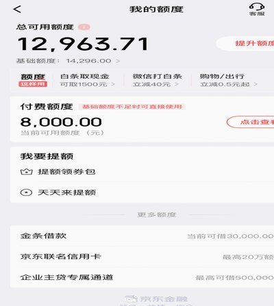 白条付费额度怎么套 取现金