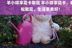 2025年羊小咩花卡：消费生态与金融科技的深度演变