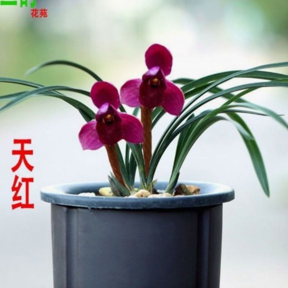 有哪些购物平台支持花呗