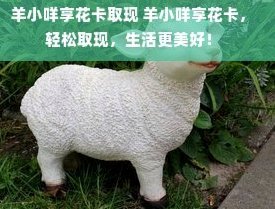 羊小咩额度怎么套出来现金