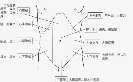 分期乐利息计算全解析