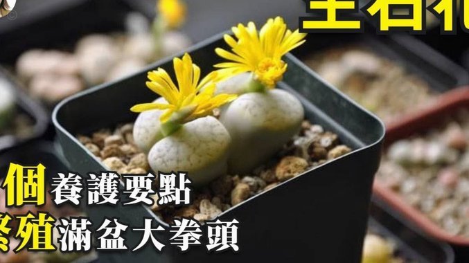携程拿去花实名注销方法详解