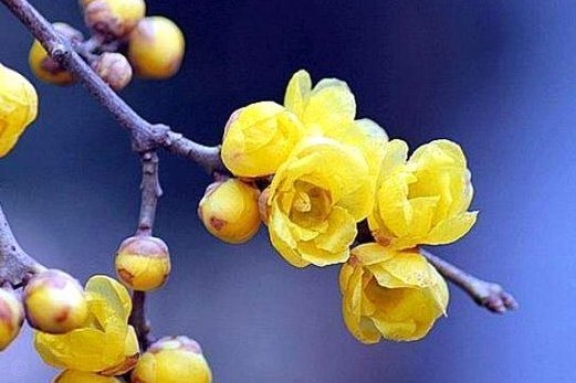 携程拿去花怎么注销实名
