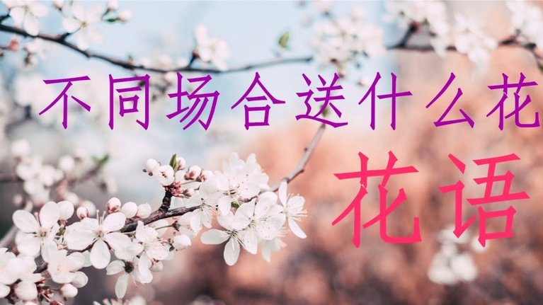 花呗套现手续费是真是假？