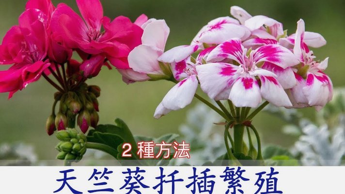 花呗合规使用全攻略