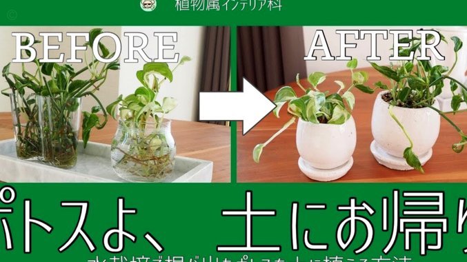 得物月付提现方法