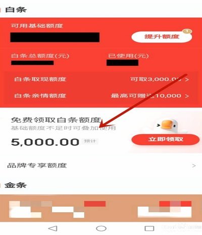 白条加油额度怎么取现