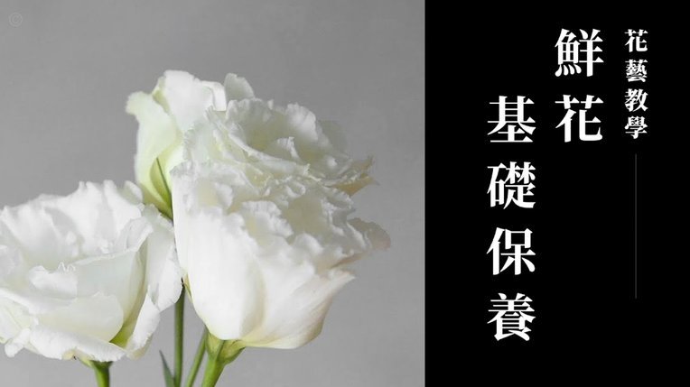 谁知道花呗怎么提现