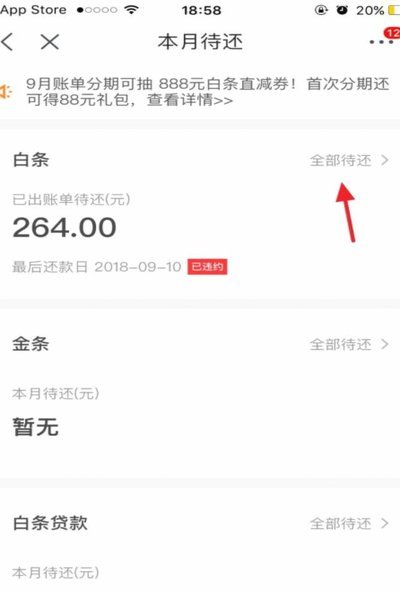 京东白条逾期协商指南