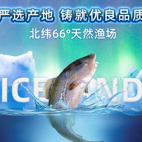 鹿优鲜的供应链与盈利模式分析