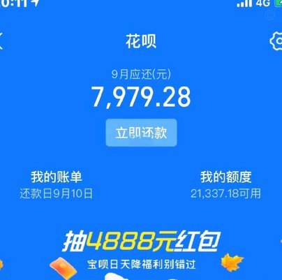 有哪些购物平台支持花呗付款