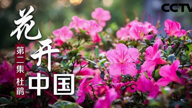 花呗套线平台秒还