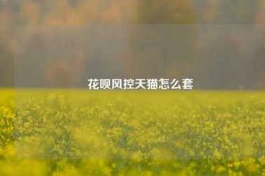 天猫额度怎么套现