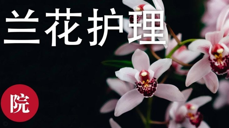 花呗这个平台合法吗是真的吗